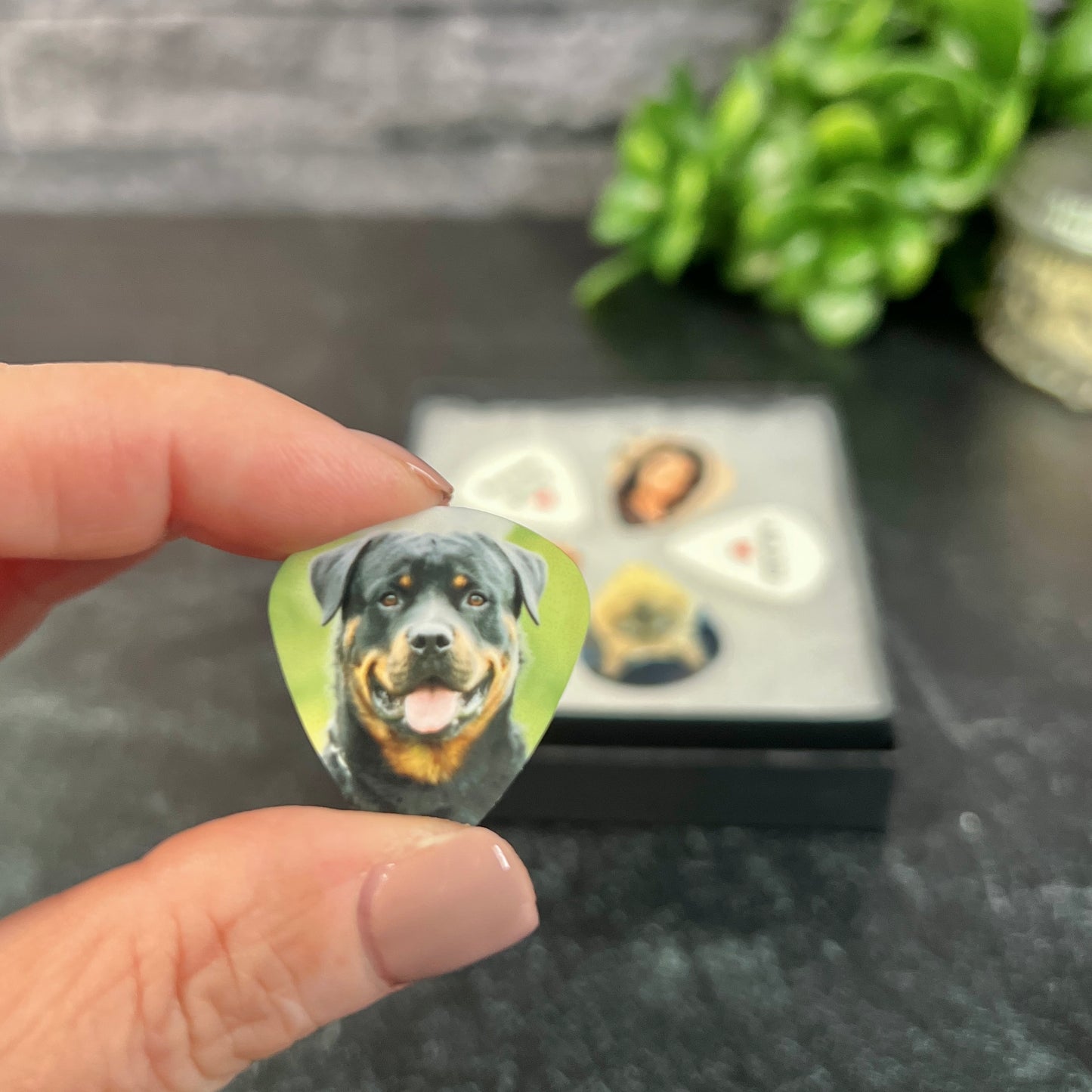Photo Guitar Picks Set; 2 Personalized Picks with Gift Box