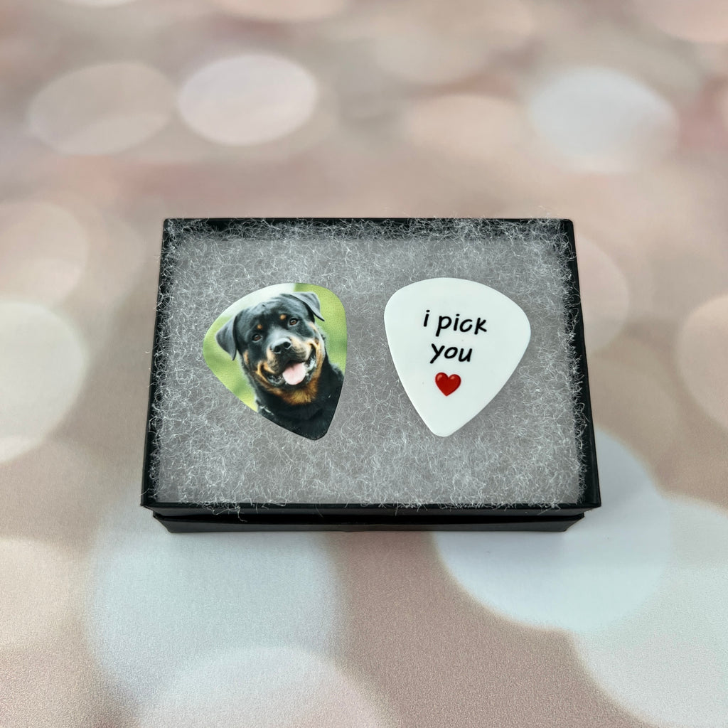 custom photo guitar pick with photo of dog, personalized pet photo gift