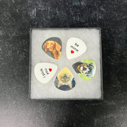 Photo Guitar Pick Set; 5 Custom Picks with Gift Box